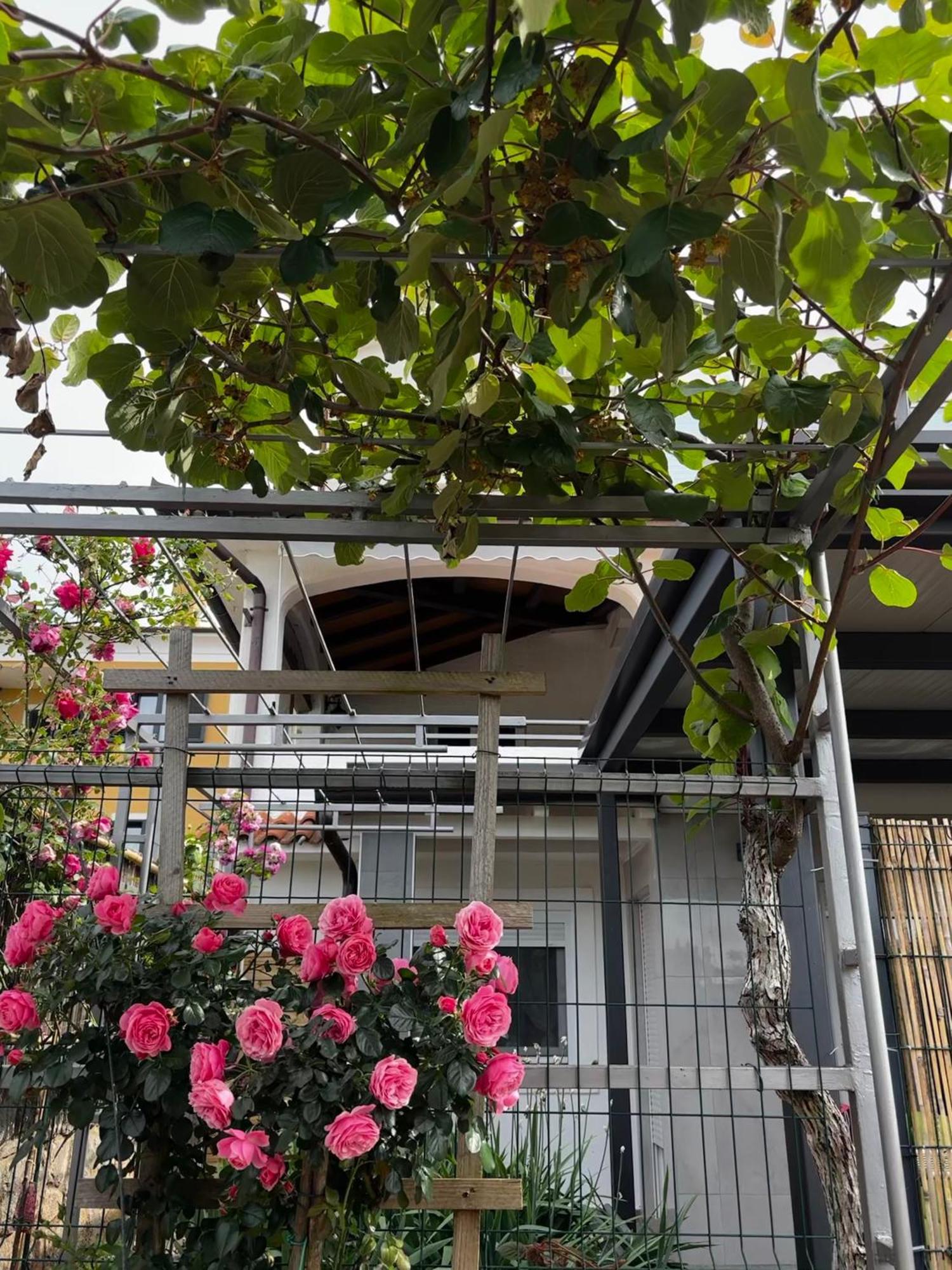 Apartmani Rozi Umag Exteriör bild